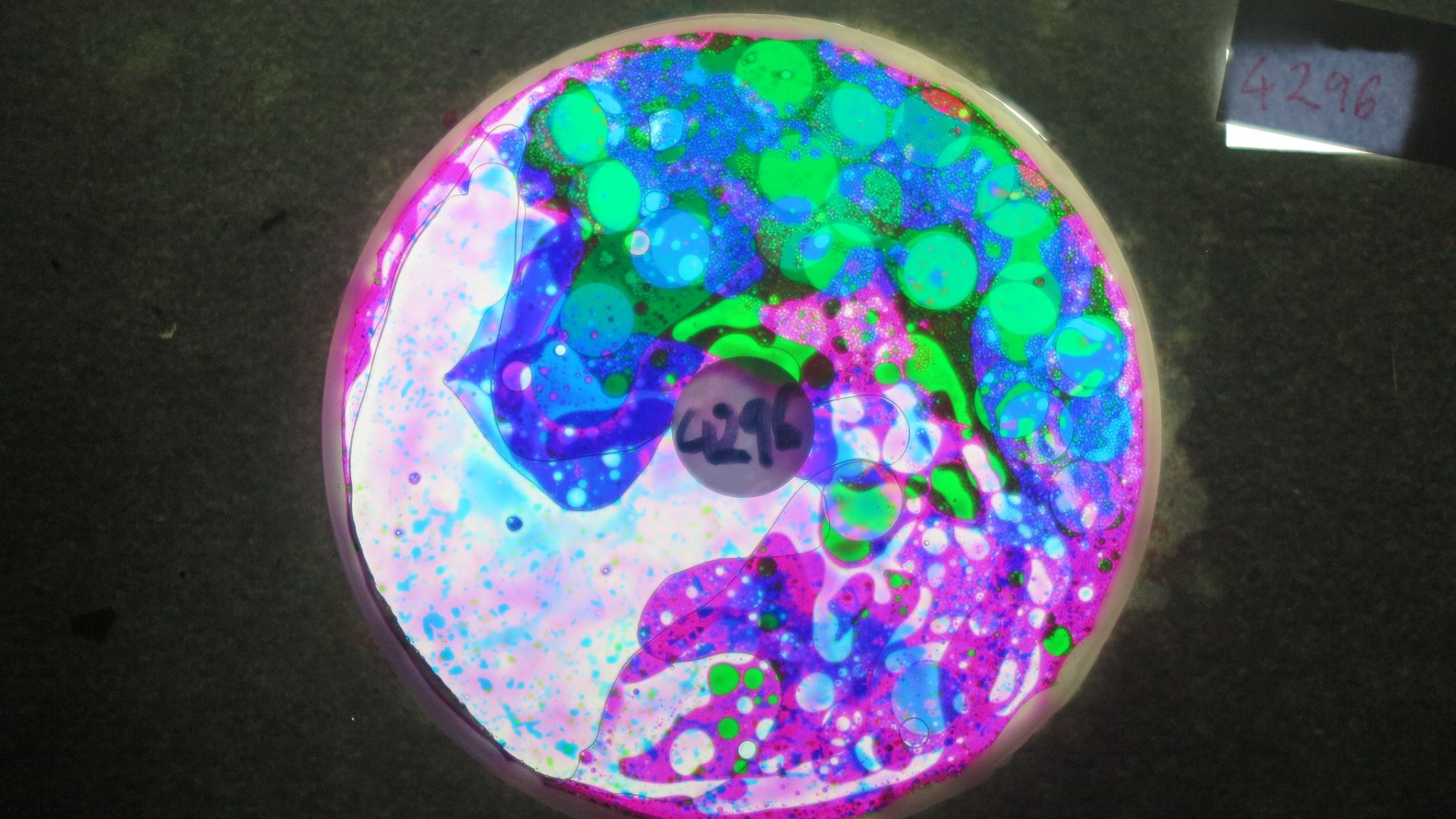 BV4296 bubble vision oil wheel